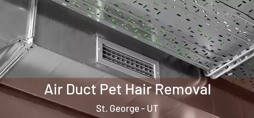 Air Duct Pet Hair Removal St. George - UT