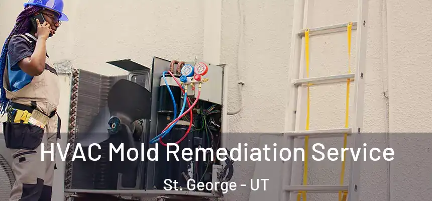  HVAC Mold Remediation Service St. George - UT