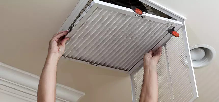 Preventive Cockroach-Proofing for Ducts in St. George