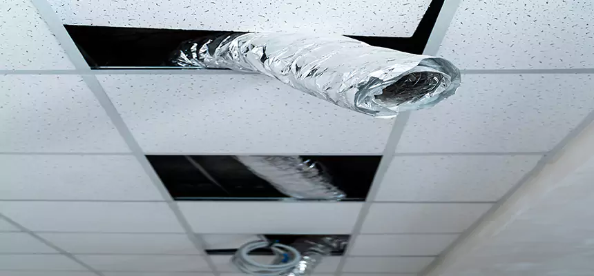 Our Air Duct Pet Hair Removal Services in St. George, UT