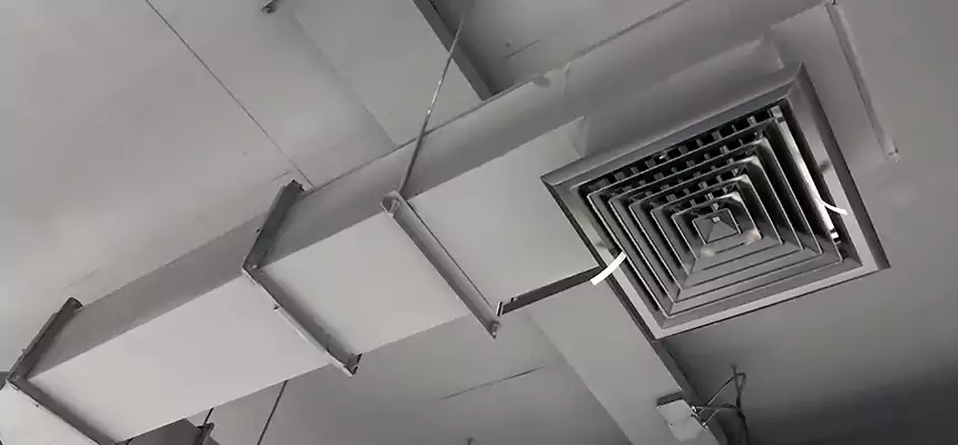 Our Rodent Droppings In Vents Services in St. George, UT