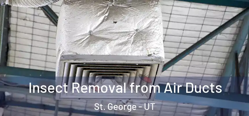 Insect Removal from Air Ducts St. George - UT