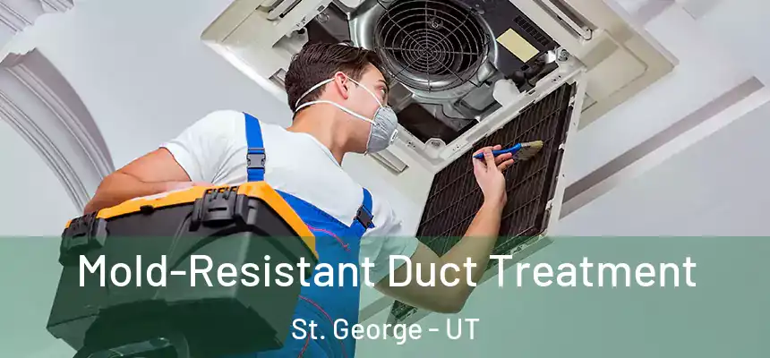  Mold-Resistant Duct Treatment St. George - UT