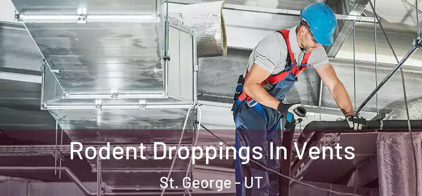  Rodent Droppings In Vents St. George - UT