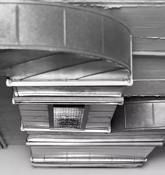 Professional Air Duct Pest Removal in St. George, UT