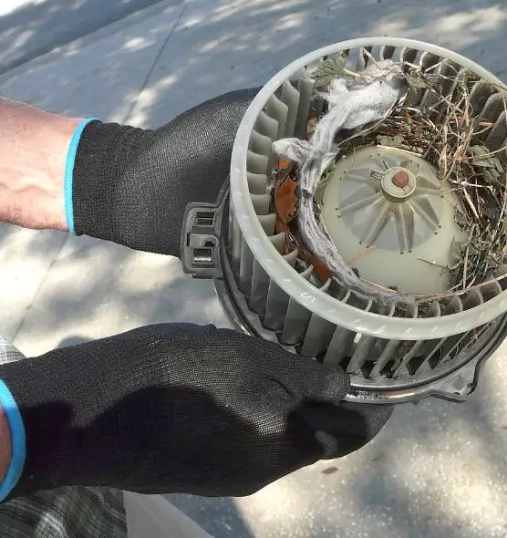 About Air Duct Rat Removal in St. George, UT