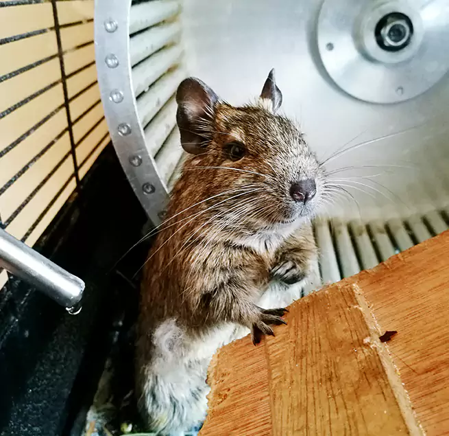 Why Homeowners & Businesses Trust Us St. George, UT?