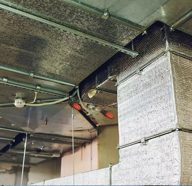 Why Homeowners & Businesses Trust Us St. George, UT?